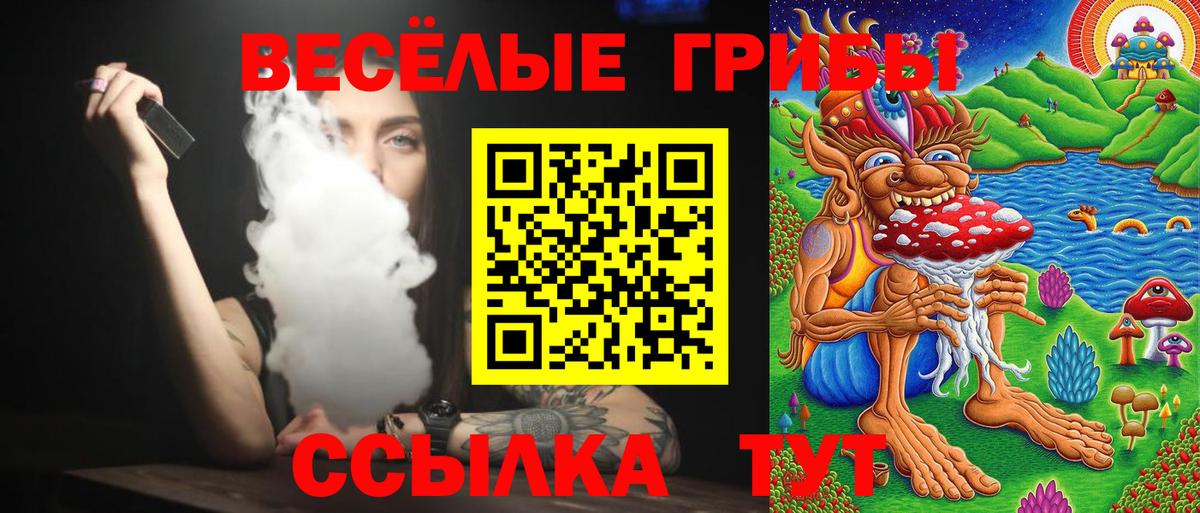 Галлюциногенные грибы MAGIC MUSHROOMS Дзержинск