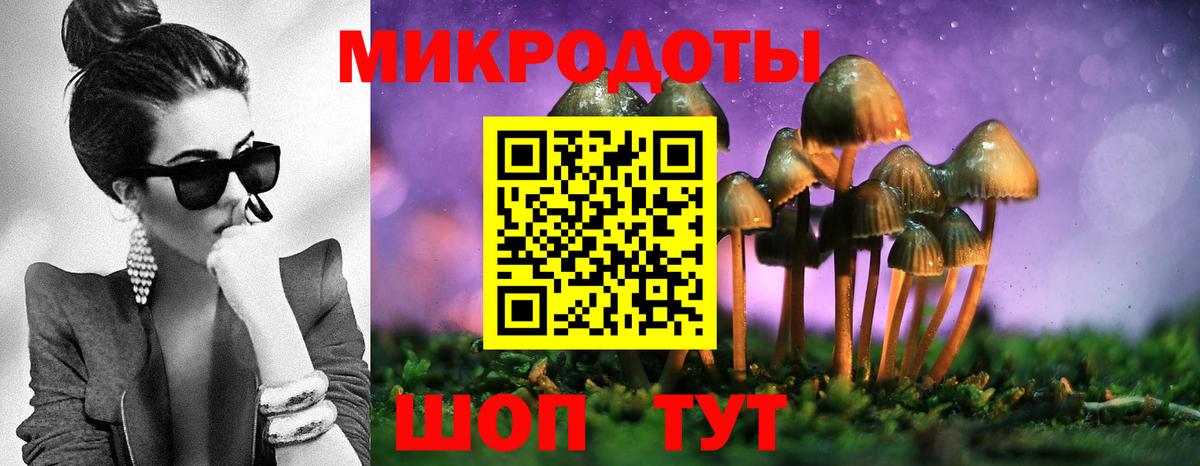 Галлюциногенные грибы Cubensis  Вход с VPN  Дзержинск 